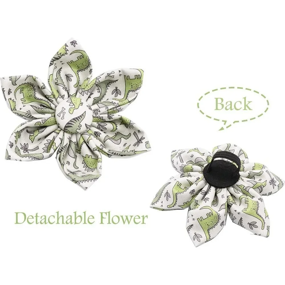 Dinasaur Dog Collar with Removable Flower | Aring Pet | Medium